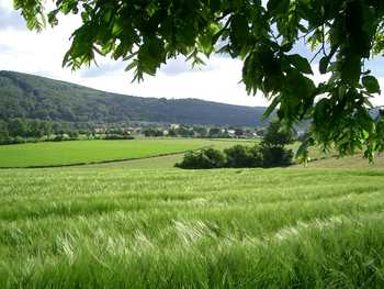 Blick auf Altessing vom Wanderweg zum Schulerloch